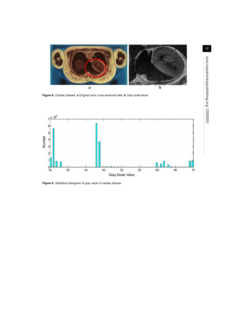 Example of Journal of the Royal Society Interface format