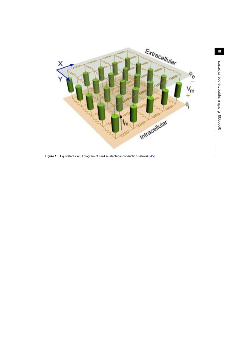 Example of Journal of the Royal Society Interface format
