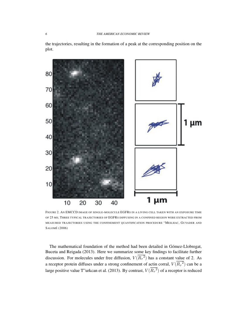 American Economic Review Template American Economic Association