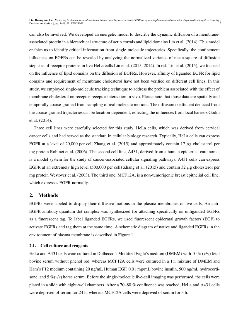 Example of Decision Analysis format