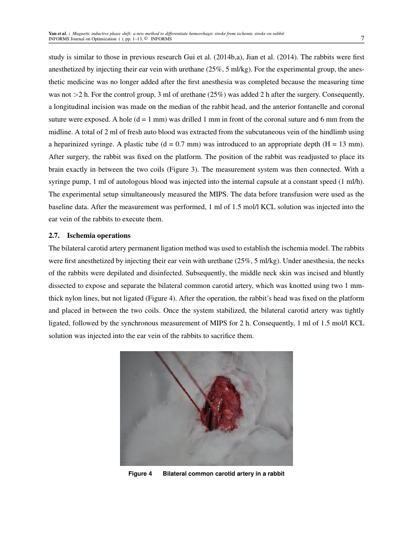 Example of INFORMS Journal on Optimization format