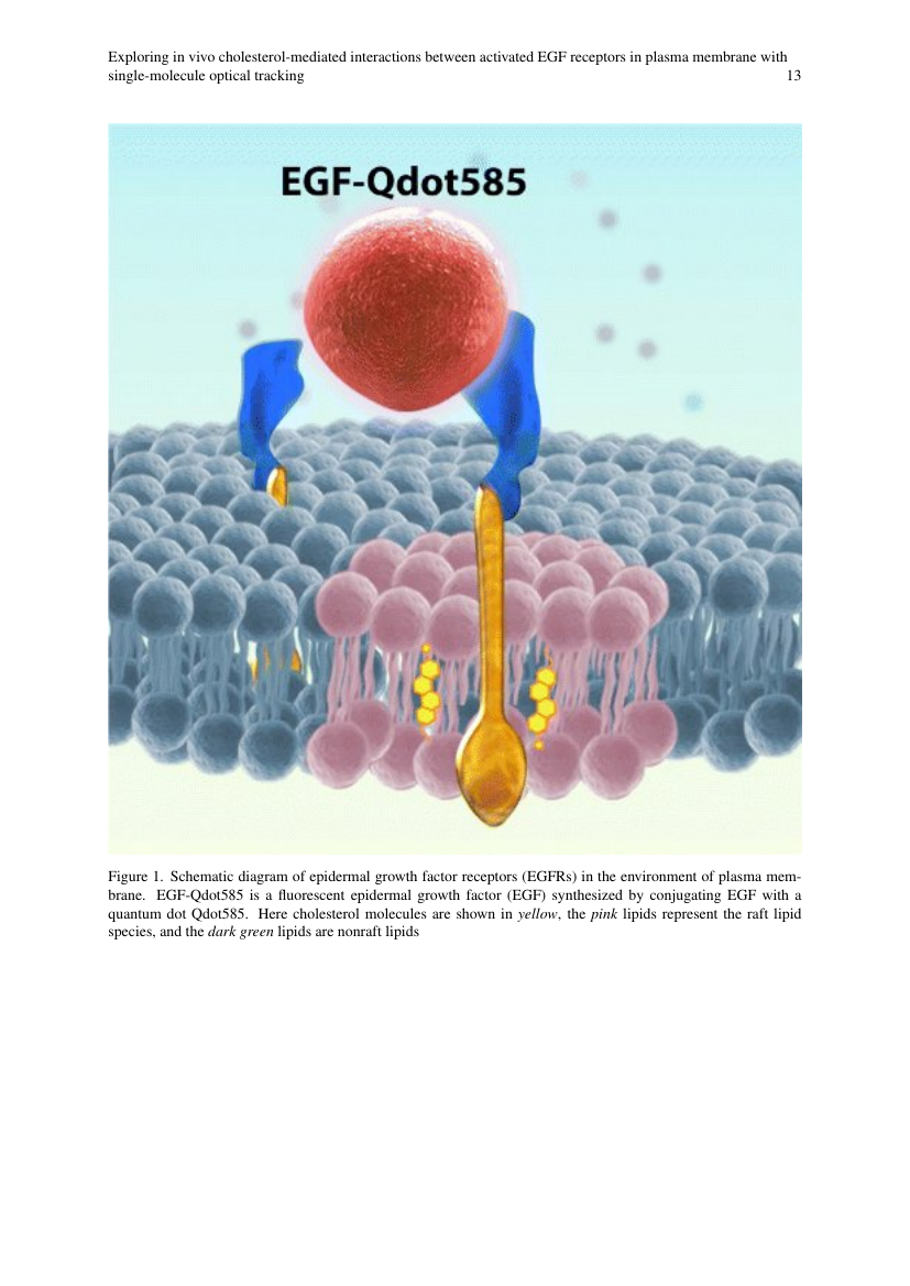 Example of Asian Pacific Journal of Cancer Prevention format