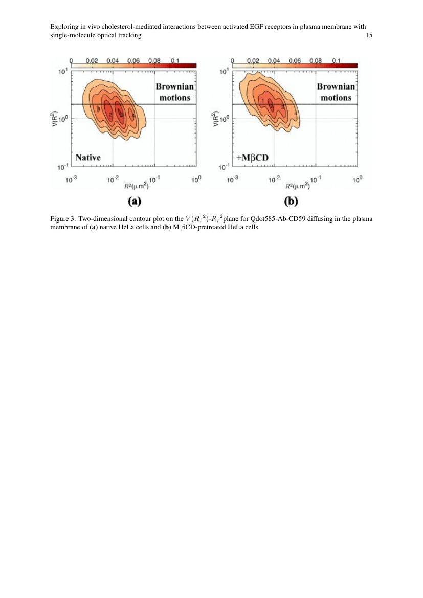 Example of Asian Pacific Journal of Cancer Prevention format