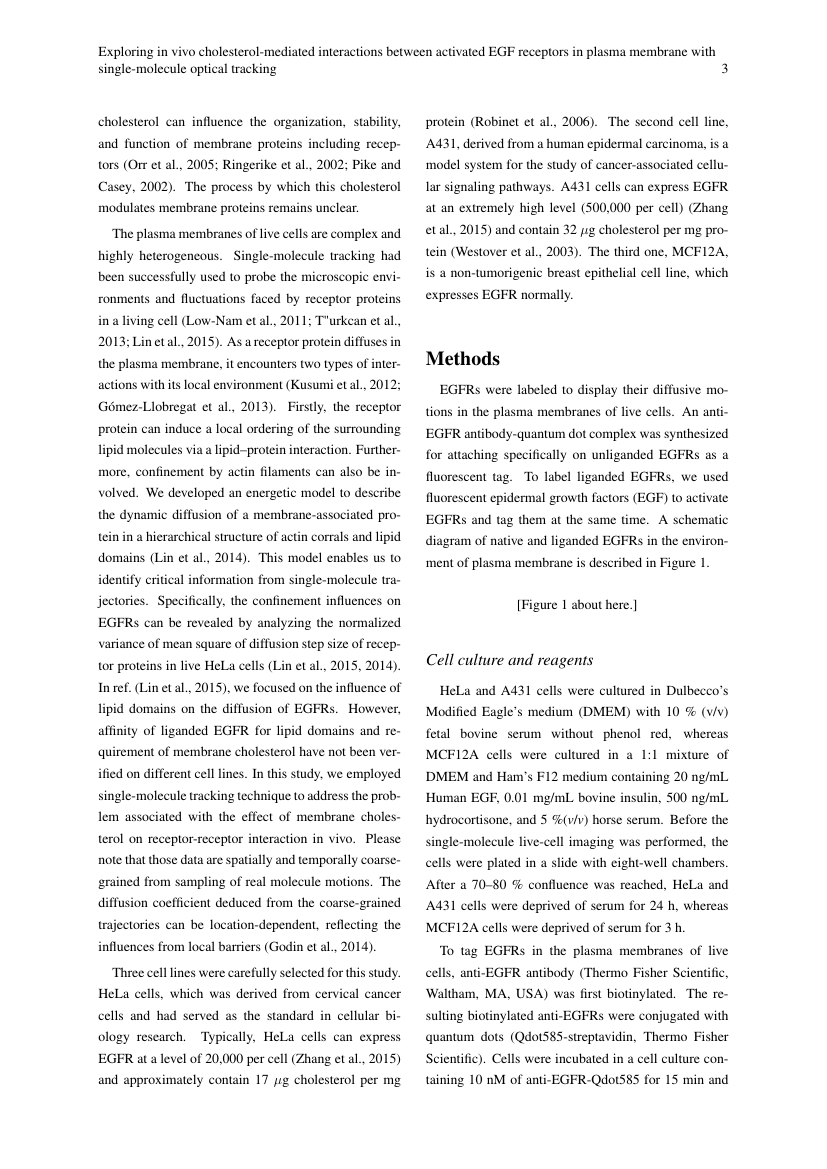 Example of Asian Pacific Journal of Cancer Prevention format
