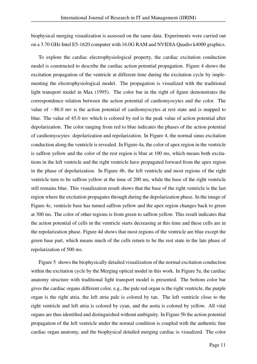 essay about eating insects your health