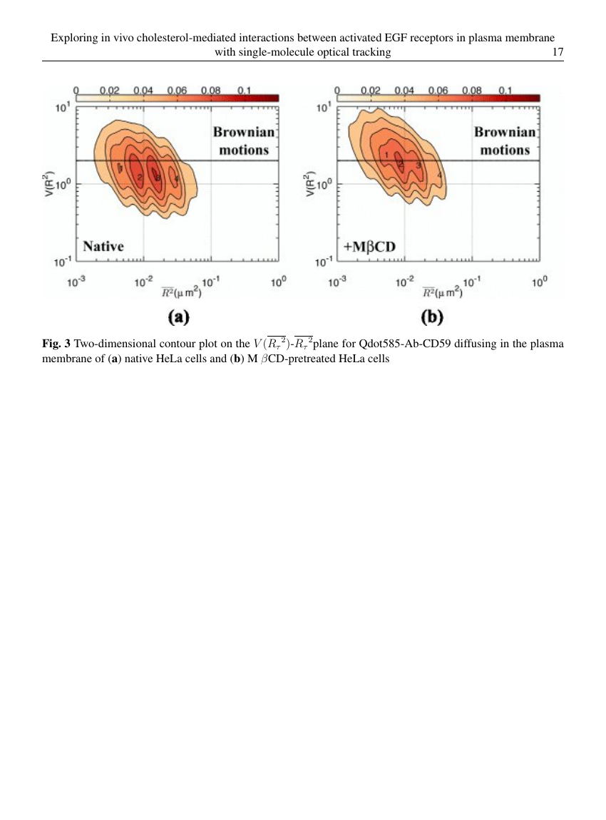 Example of Ecology, Environment and Conservation format