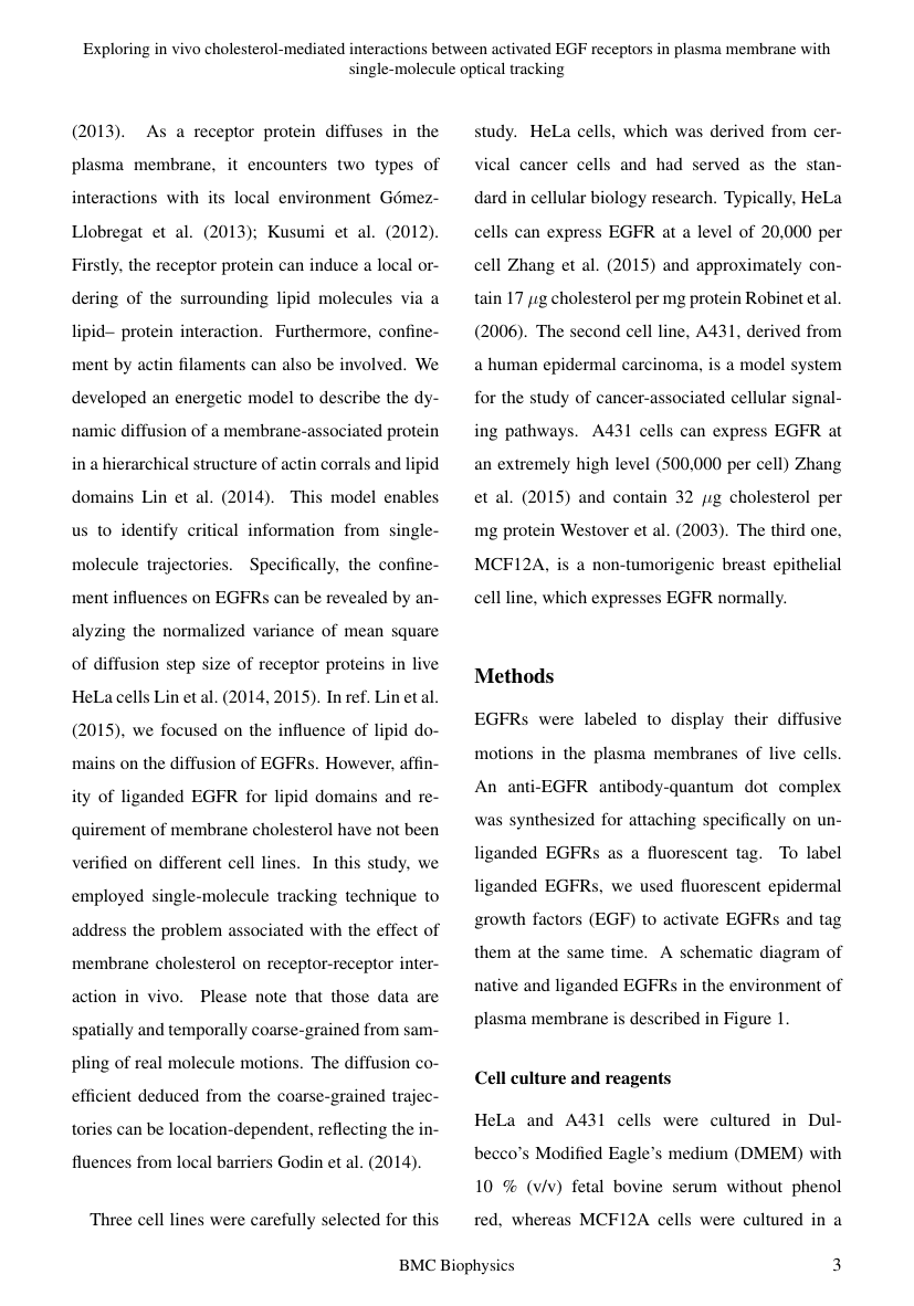 Example of Journal of Business and Social Development format