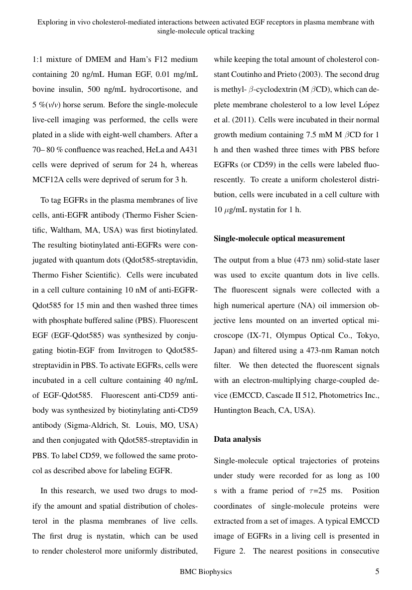 Example of Journal of Business and Social Development format