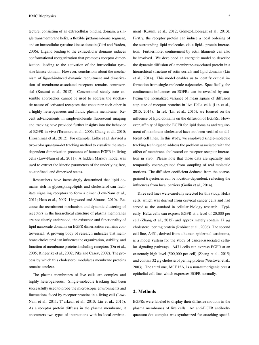 Example of Social Work Chronicle format