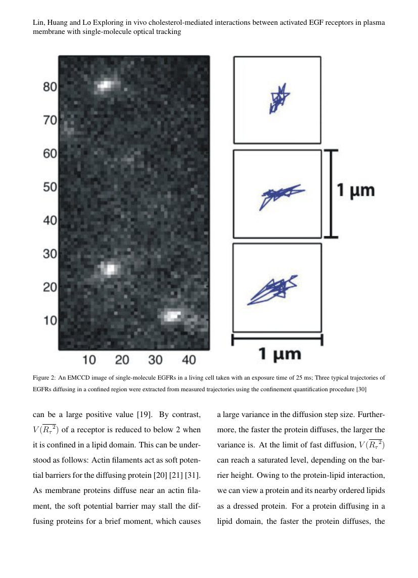 Biomedical Reports Template Spandidos Publications