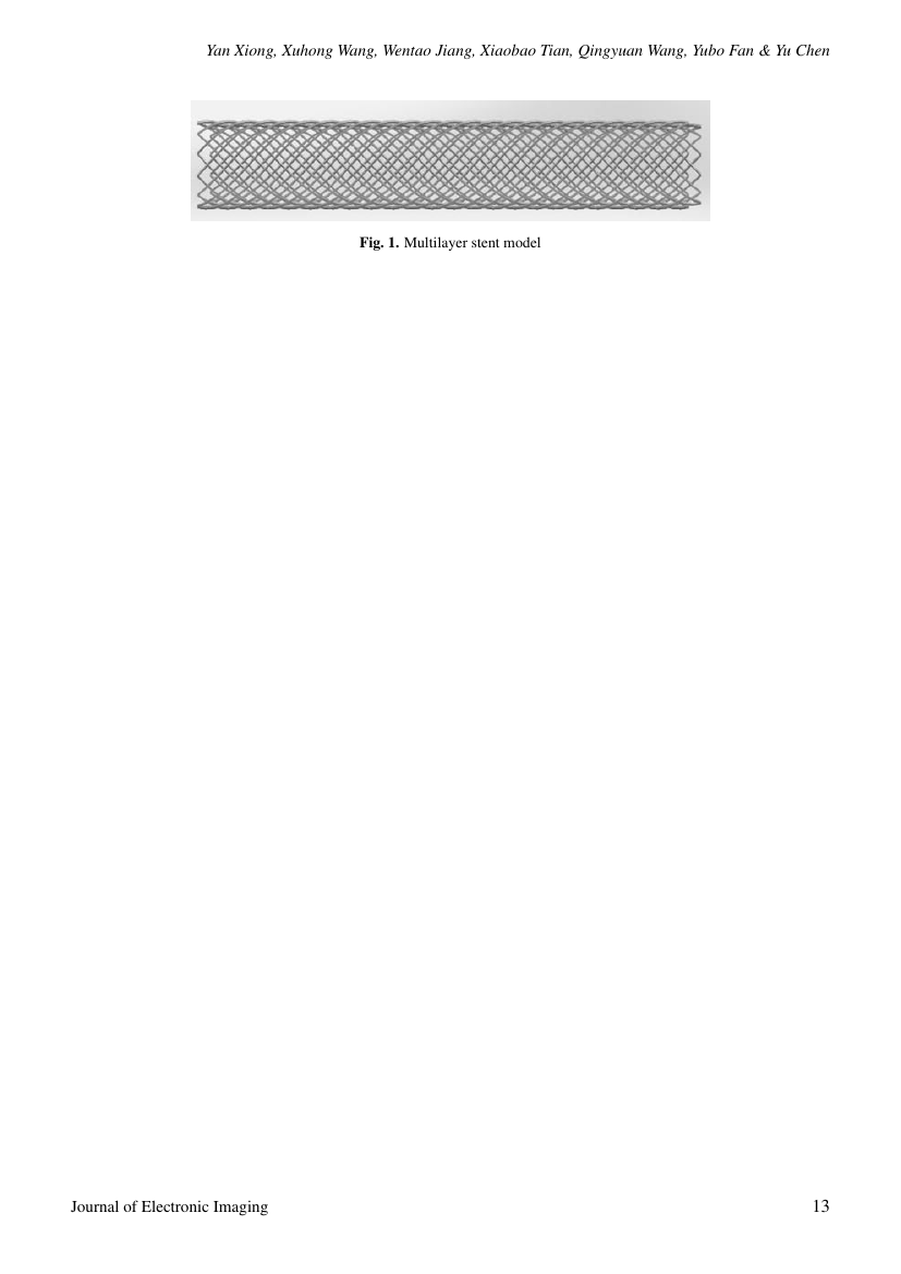 Example of Trakia Journal of Sciences format