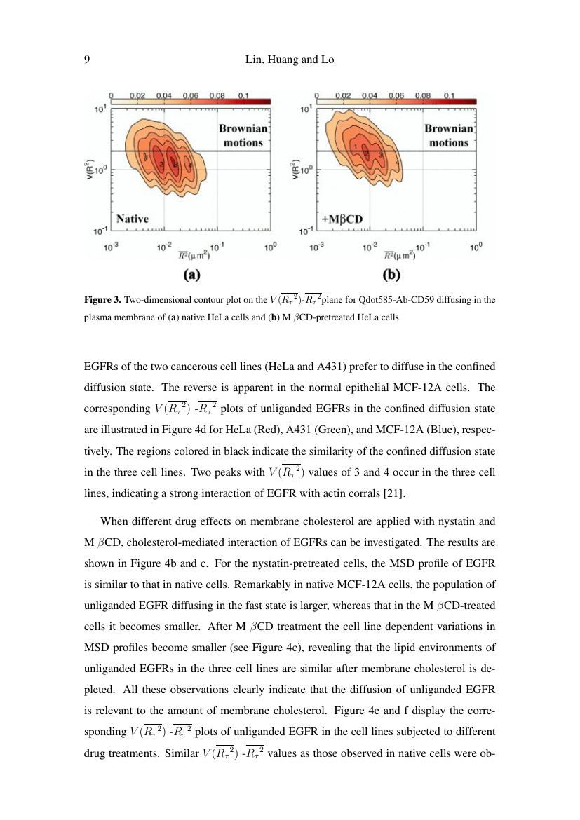 Nanofiber membrane picture
