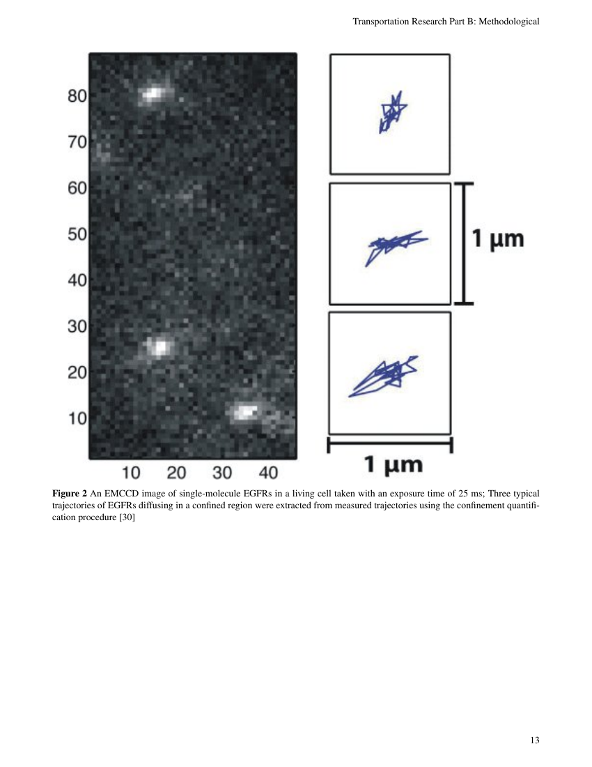 International Journal for Case Reports Template Insight Medical