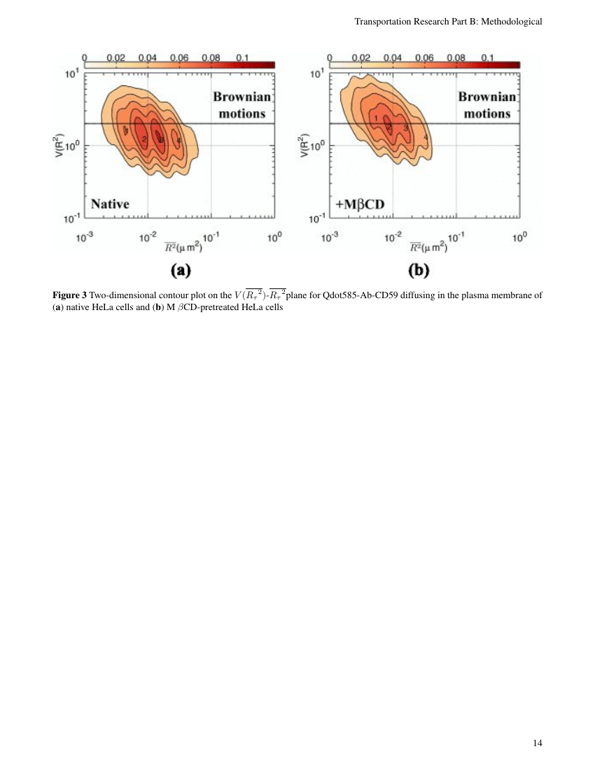 International Journal for Case Reports Template Insight Medical