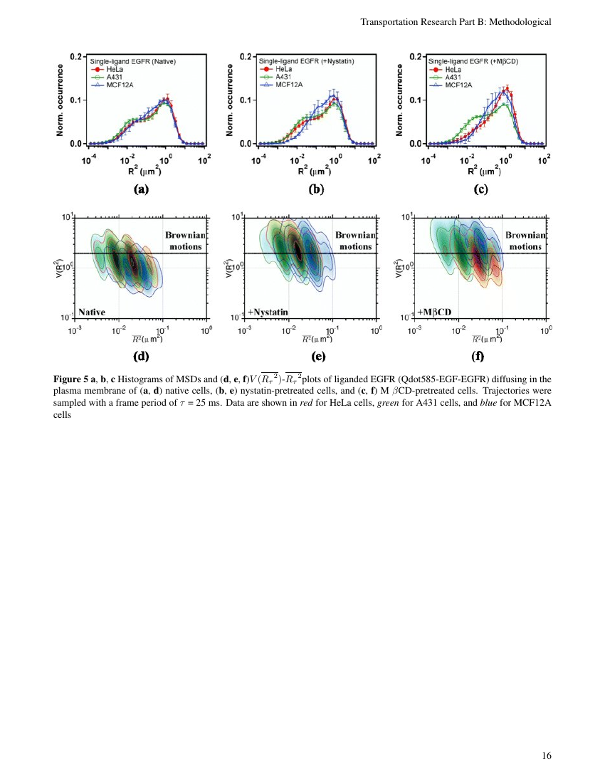 International Journal for Case Reports Template Insight Medical