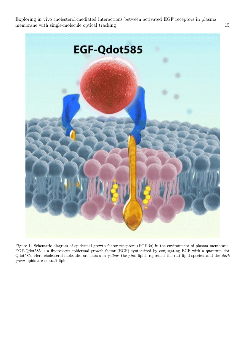 Example of Journal of Renal Nutrition format