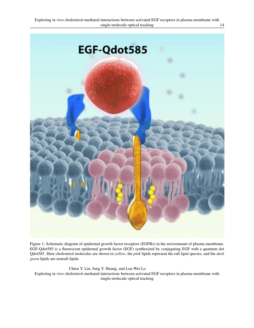 Sensor Letters Template American Scientific Publishers