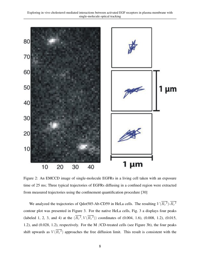 Example of Journal of Renewable Materials format