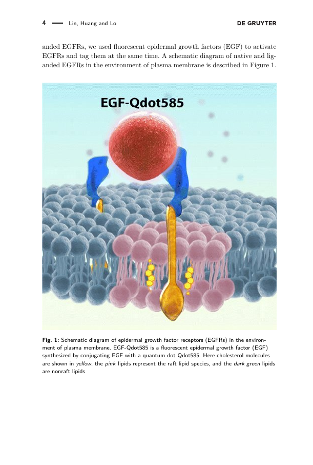 Journal of Optical Communications Template De Gruyter