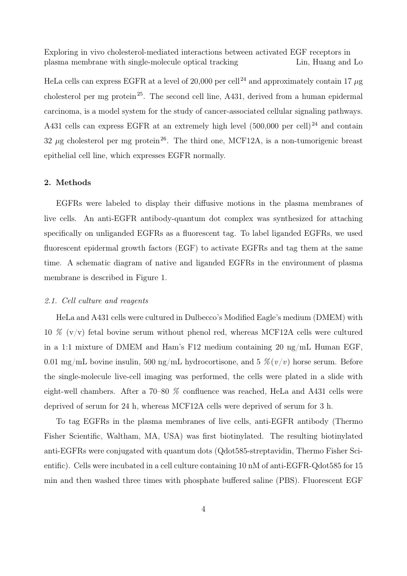 World Neurosurgery Template For Authors