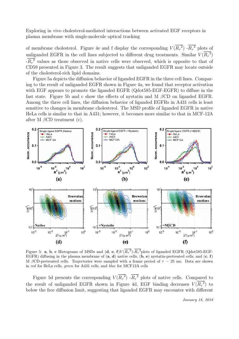 Chest template For Authors