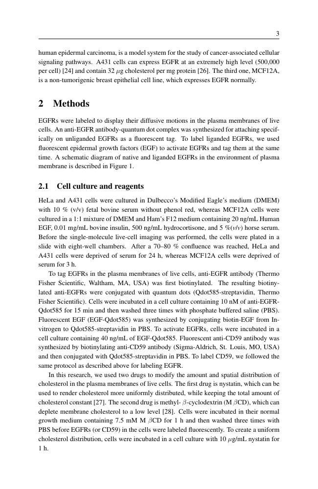 Example of South Asian Journal of Human Resources Management format