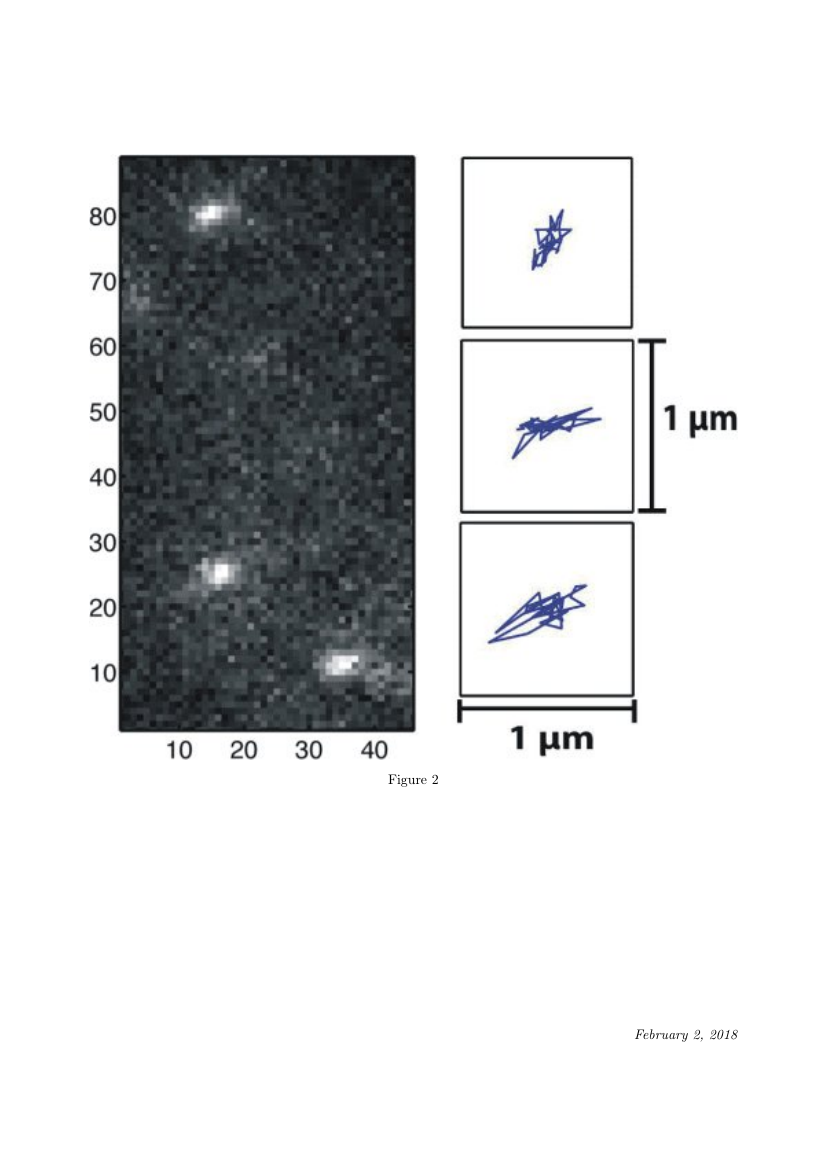 Example of Tribology International format