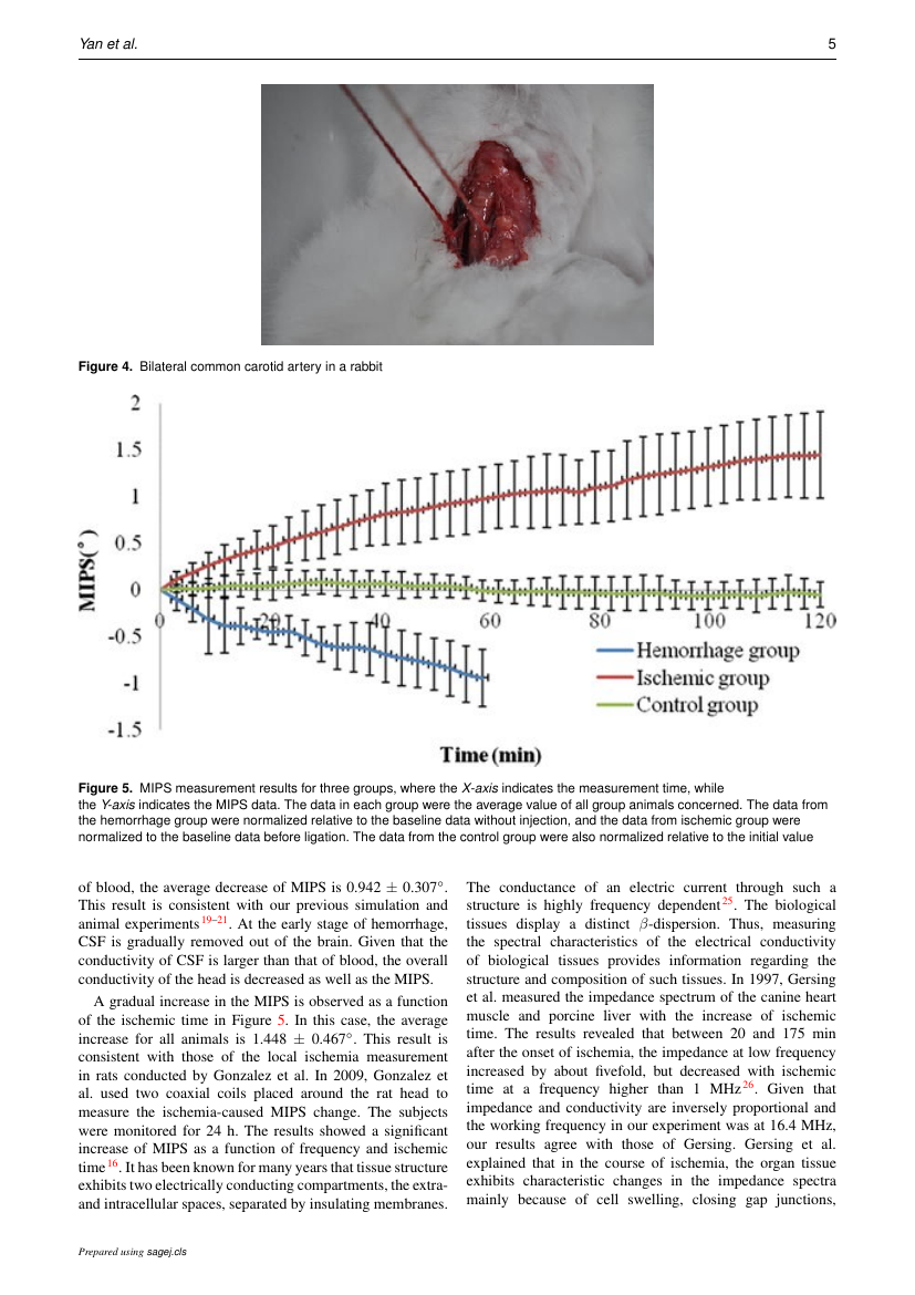 Example of Open Journal of Cardiovascular Surgery format