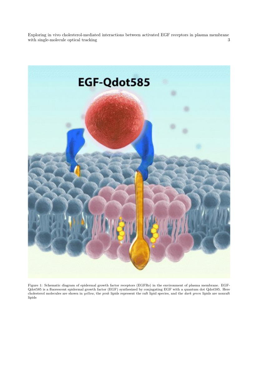 The Lancet Public Health template For Authors