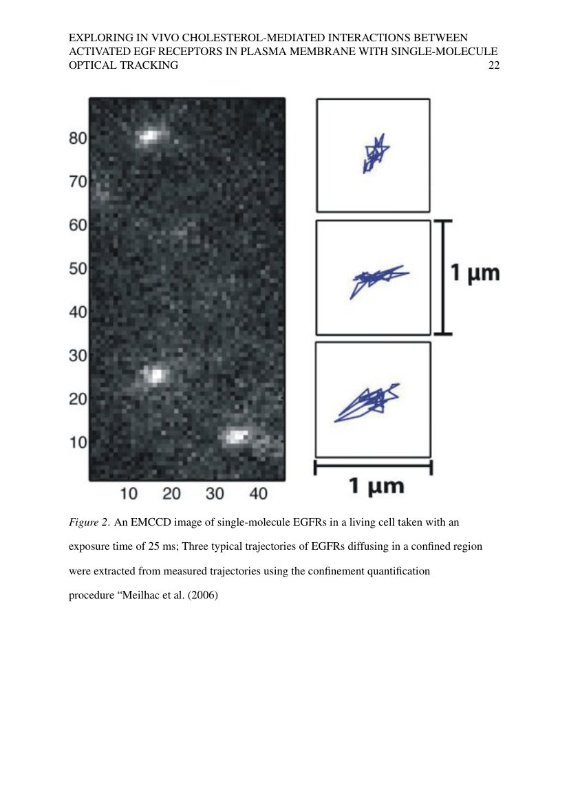 Cornell Hospitality Quarterly Template SAGE