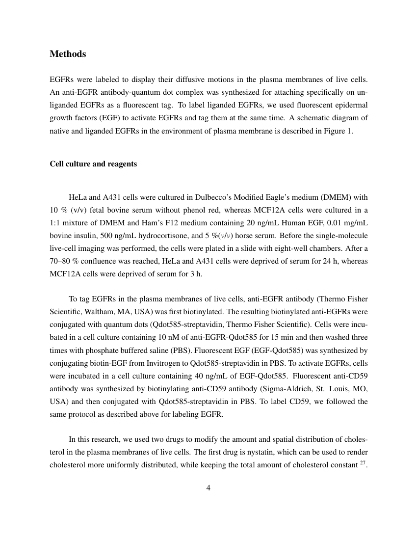 Scientific Reports Template - Nature Inside Research Report Sample Template