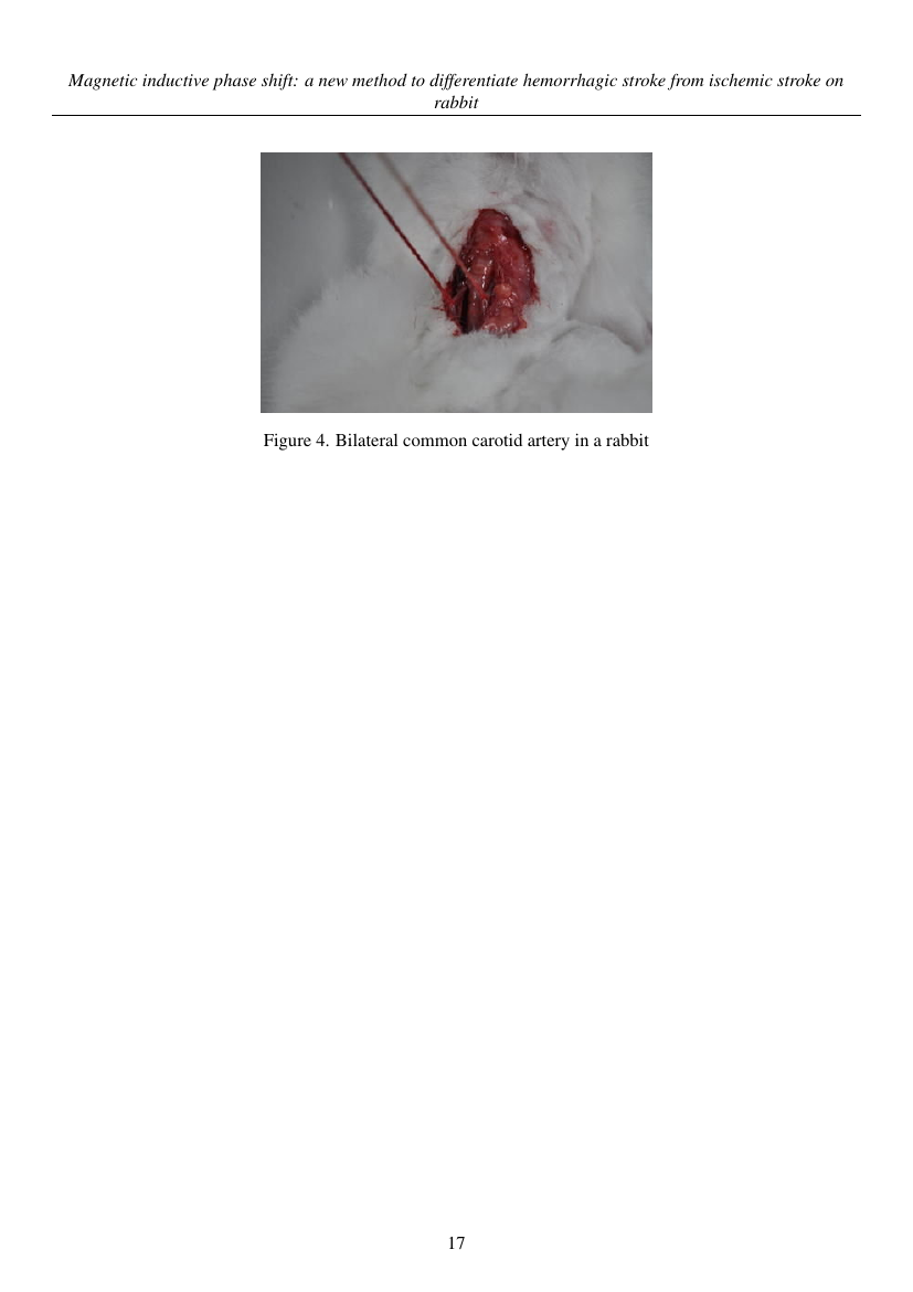 Example of International Journal of Management Science and Engineering Management format