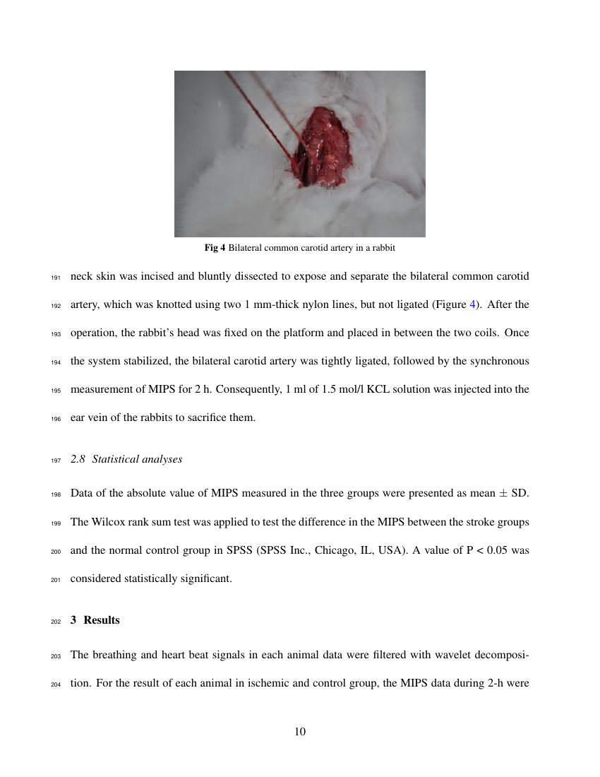 Example of Journal of Biomedical Optics format