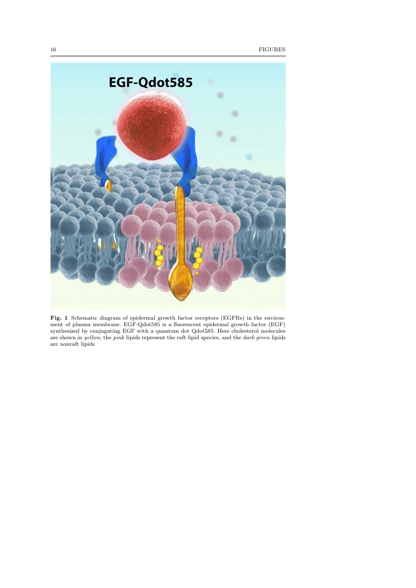 Circuits, Systems, and Signal Processing Template Springer