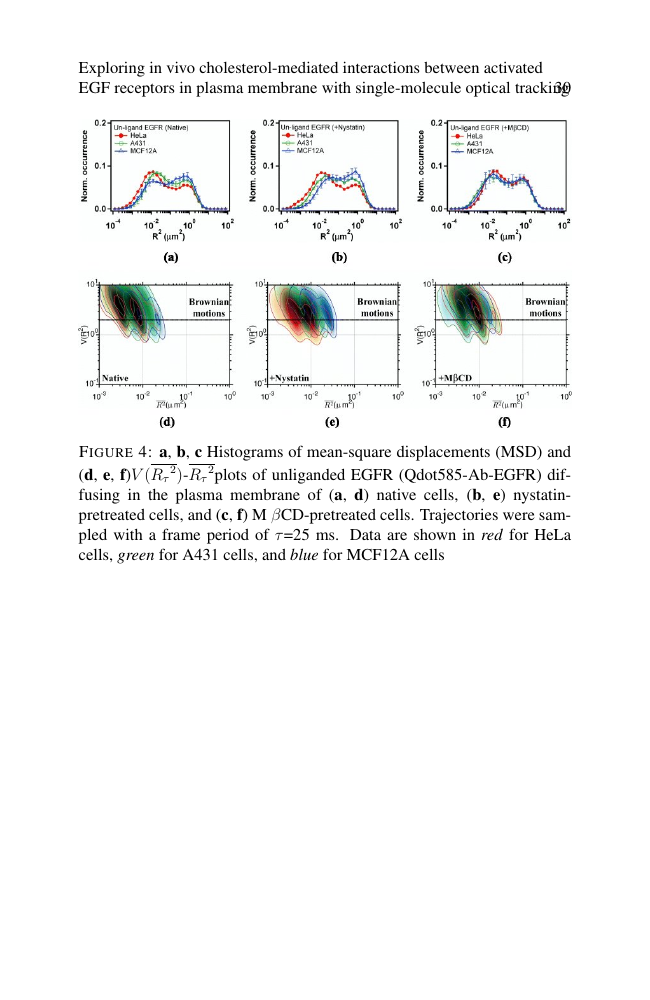 Journal of Medical Imaging and Radiation Oncology Template Wiley