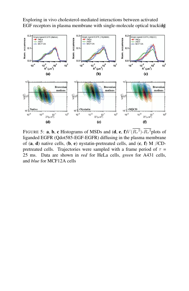 Journal of Medical Imaging and Radiation Oncology Template Wiley