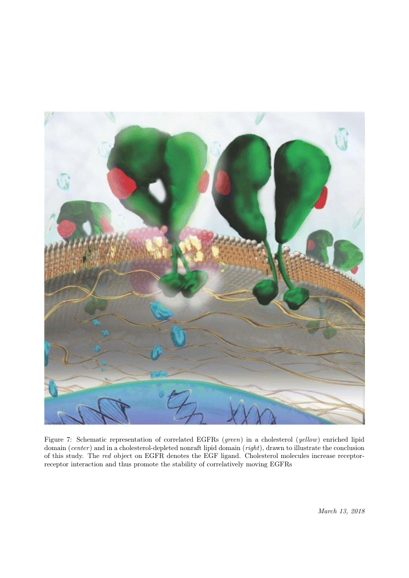 Example of Cell Stem Cell format