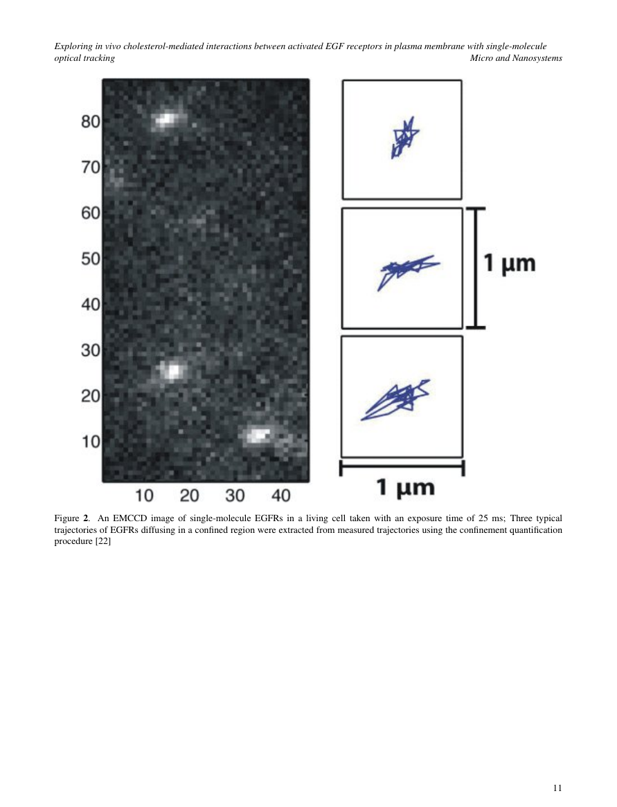 Micro and Nanosystems Template Bentham Science Micro and Nanosystems Template Bentham Science