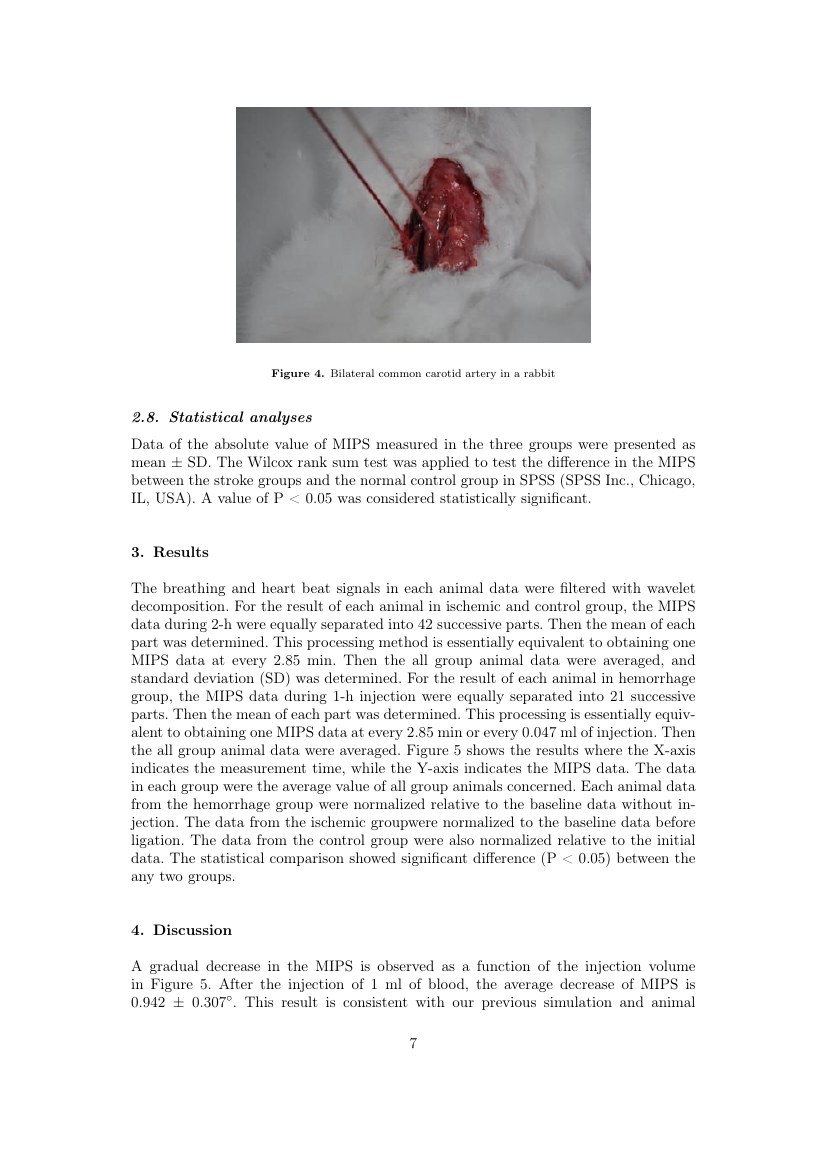 Example of Terrorism and Political Violence format