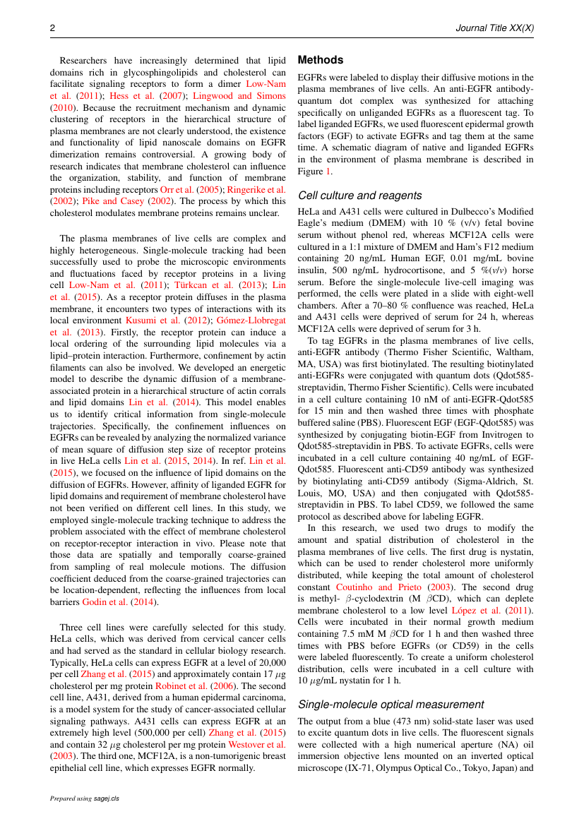 Example of BioScope: South Asian Screen Studies format