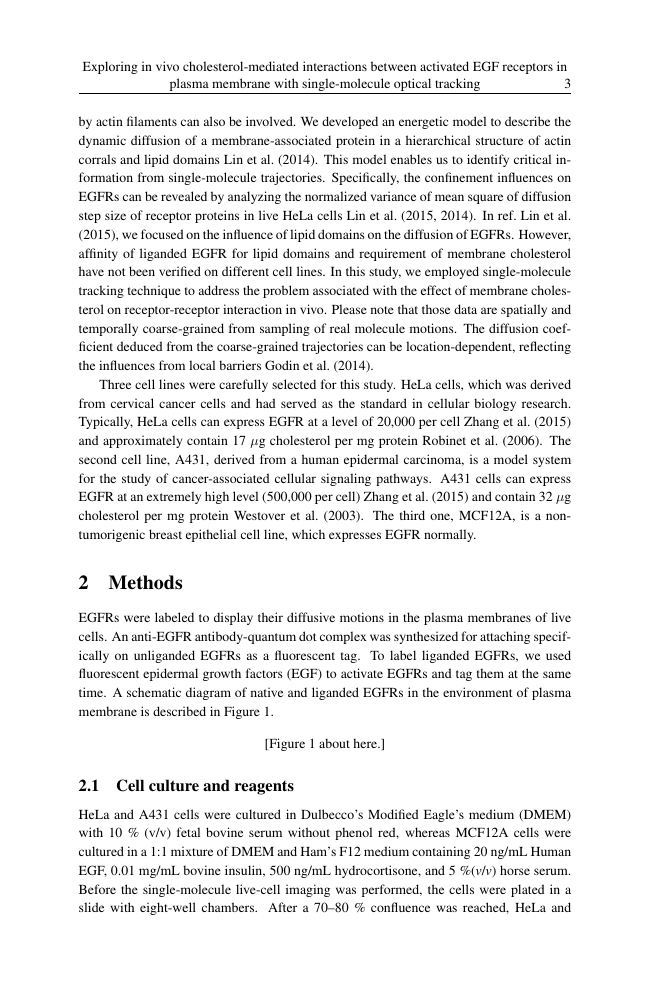 2000 word report example picture