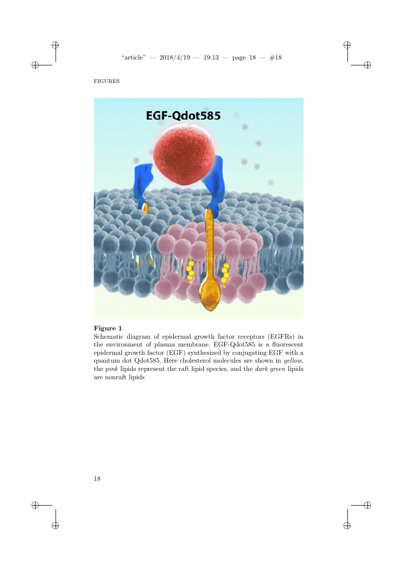Example of The Review of Financial Studies format