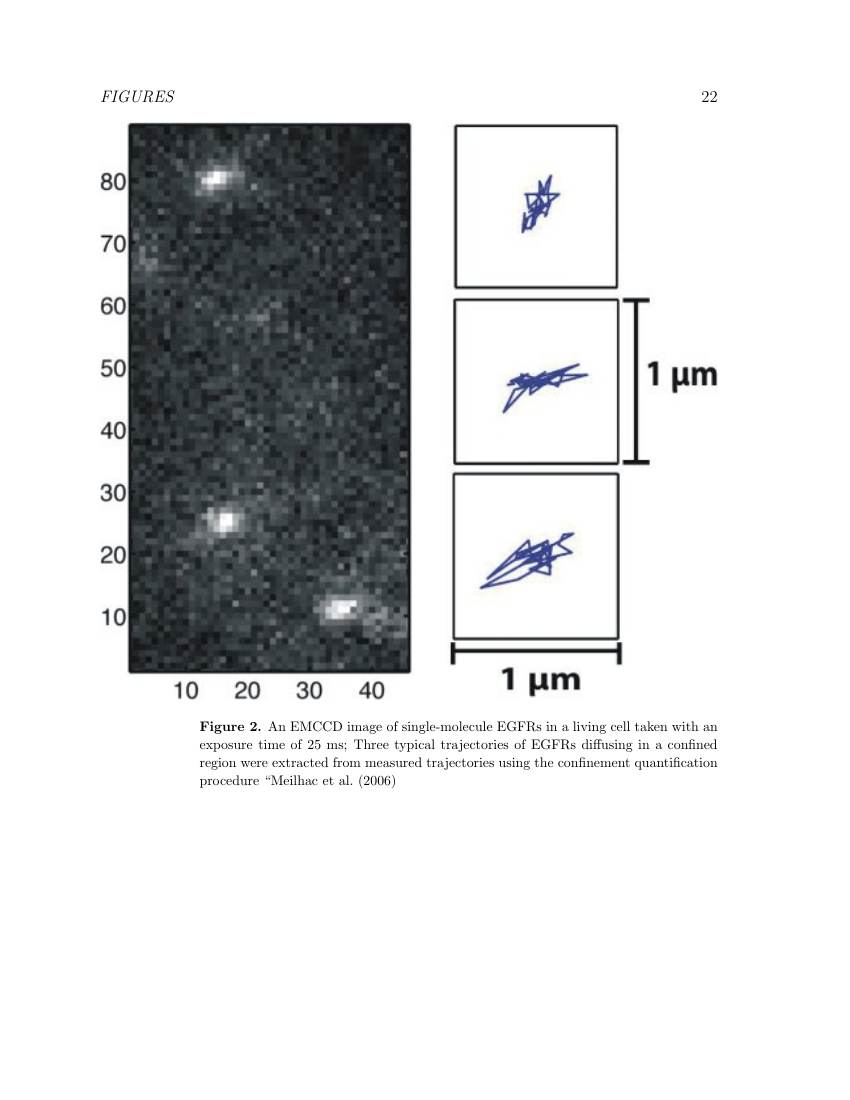 Example of Bioscience Horizons: The International Journal of Student Research format