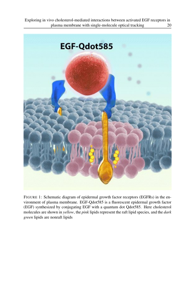 Example of Biotechnology and Bioengineering format