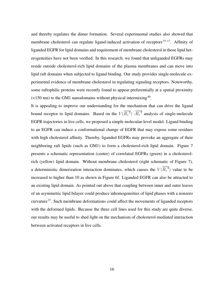 democracy in world essay of workplace