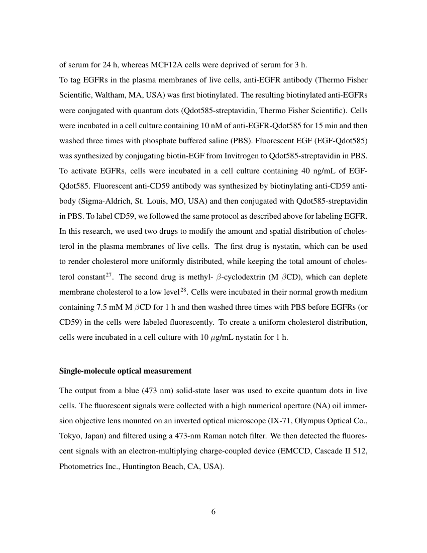 economics and finance essay rmit applied