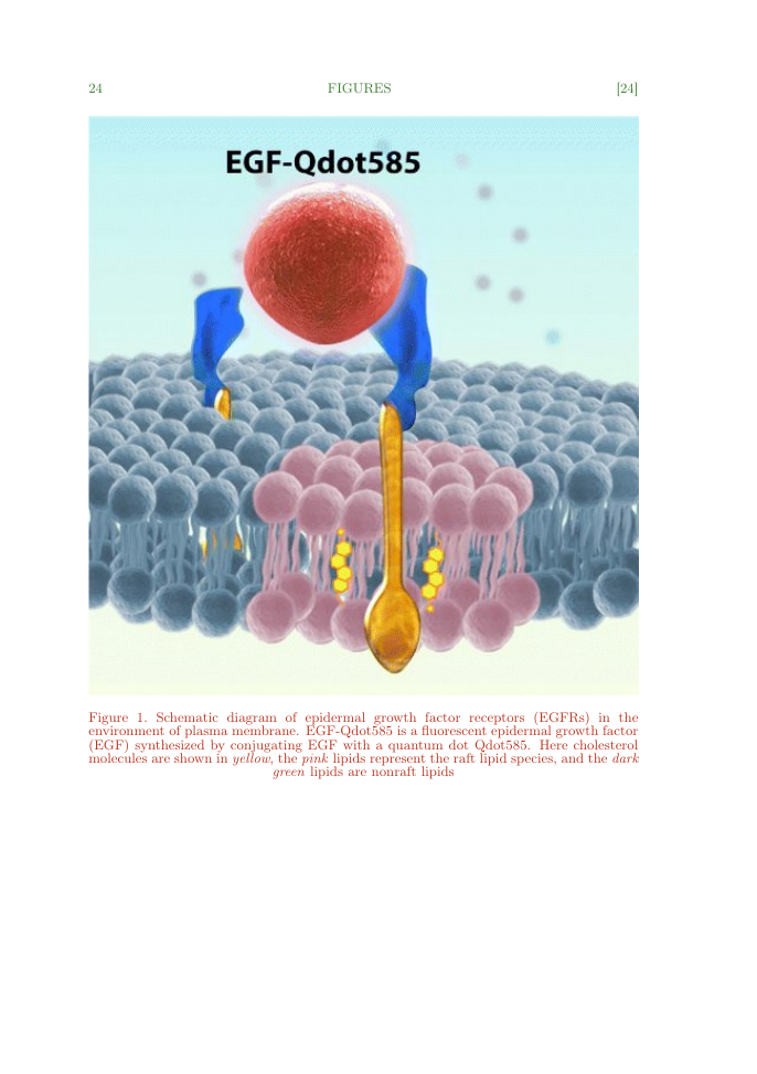 Example of Microscopy and Microanalysis format