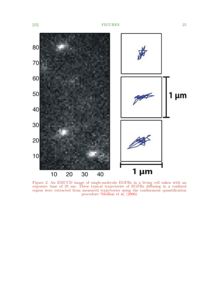 Example of Microscopy and Microanalysis format