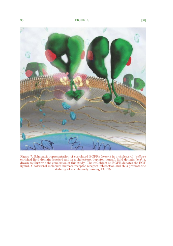 Example of Microscopy and Microanalysis format