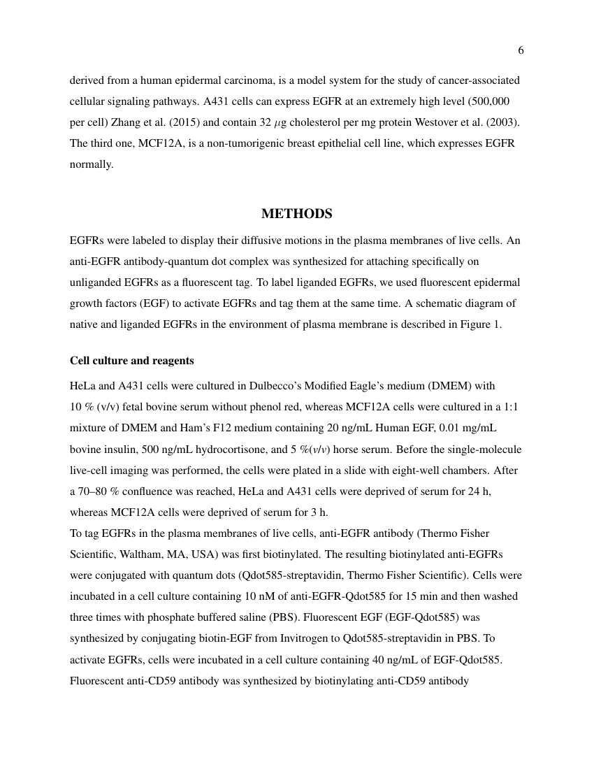 Example of Journal of Consumer Research format